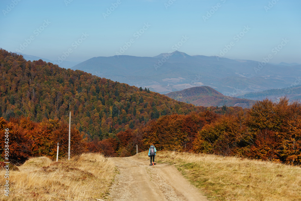 Autumn scenery in the Ukrainian Carpathian Mountains with a tourist girl with a backpack