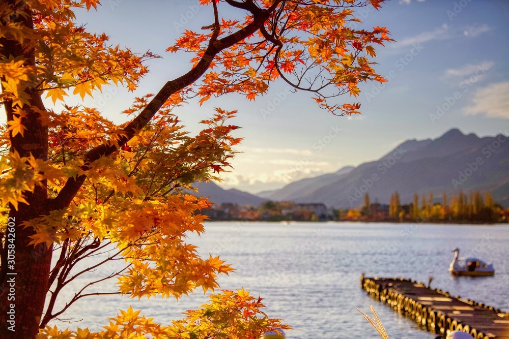 Views of Lake Kawaguchi in Japan