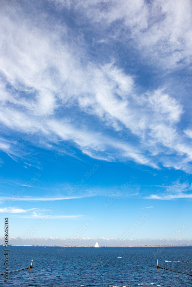 Obraz premium 見上げる空