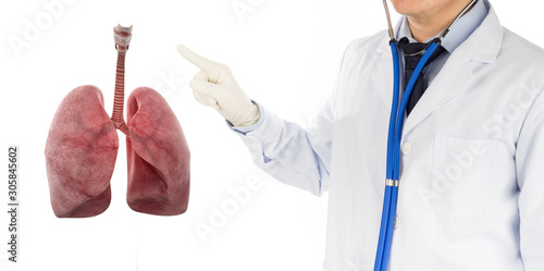 Bild auf Leinwand doctor check respiratory of lung , lungs disease , 3D concept