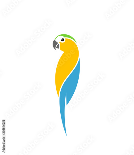 Blue macaw parrot. Logo. Cute bird
