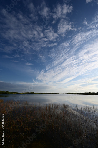 Sunrise cloudscape reflected on calm water of Nine Mile Pond in Everglades National Park  Florida.