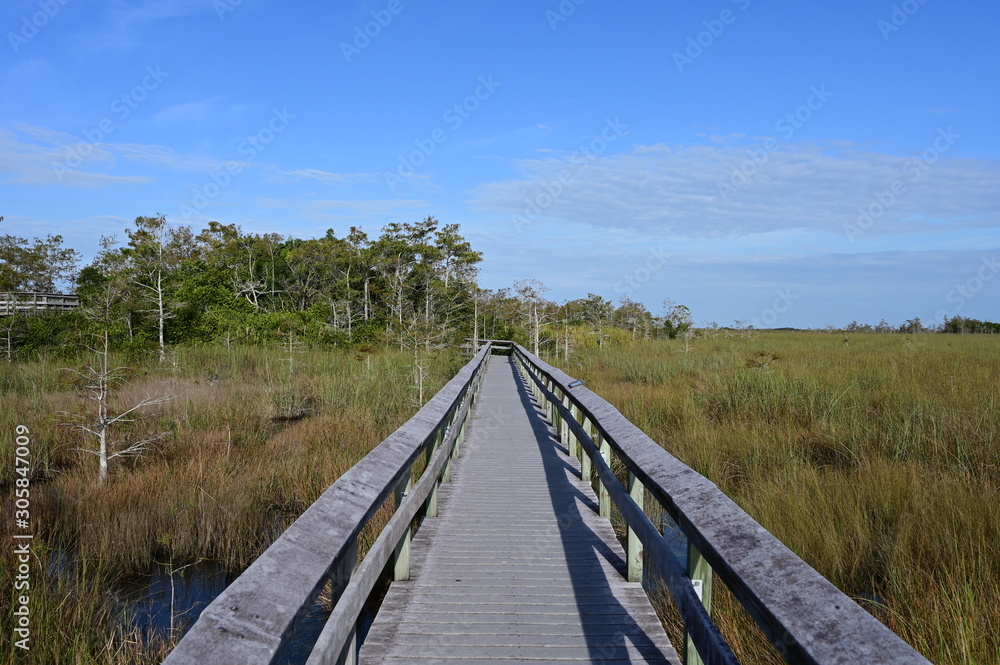 Pa Hay Okee Boardwalk in Everglades National Park, Florida on a sunny winter morning.