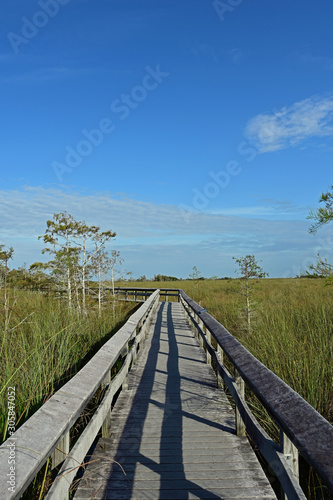 Fototapeta Naklejka Na Ścianę i Meble -  Pa Hay Okee Boardwalk in Everglades National Park, Florida on a sunny winter morning.