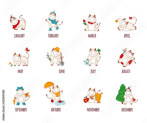 Fototapeta Naklejka Na Ścianę i Meble -  White cartoon ox, bull or cow - set of 12 kawaii characters isolated on white for calendar print, symbol of 2021 year, collection of cute farm animals witn different atributions - vector illustration