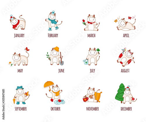 White cartoon ox, bull or cow - set of 12 kawaii characters isolated on white for calendar print, symbol of 2021 year, collection of cute farm animals witn different atributions - vector illustration