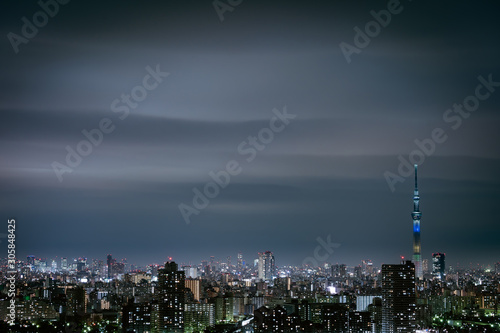 Tokyo cityscape, Japan © geargodz