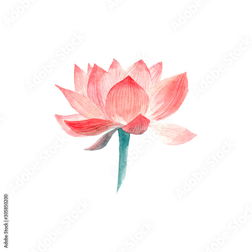 Wallpaper Mural Watercolor drawing. Torontodigital.ca