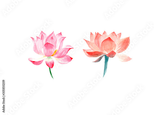 Wallpaper Mural Watercolor drawing of flowers. Torontodigital.ca