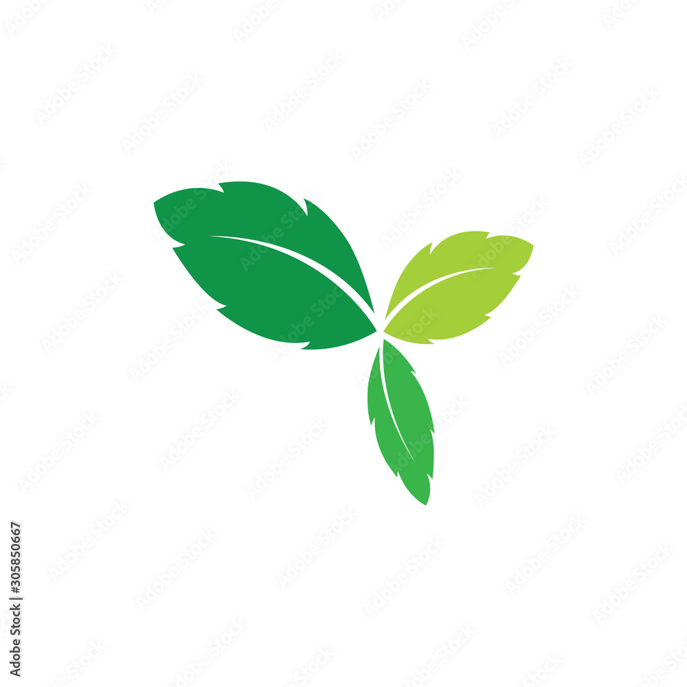 green leaf ecology nature element green leaf ecology nature element