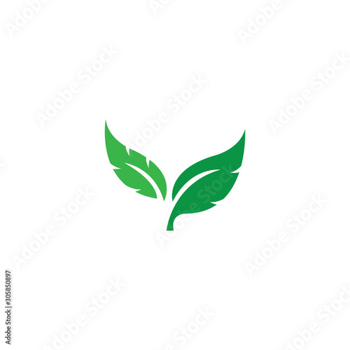 green leaf ecology nature element