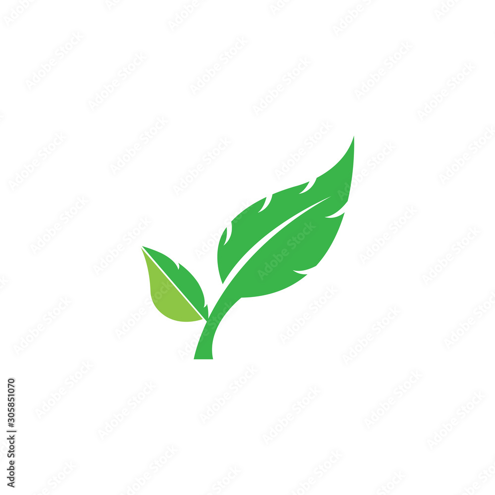 green leaf ecology nature element green leaf ecology nature element
