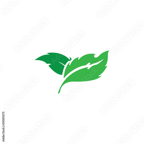 green leaf ecology nature element © Ony98
