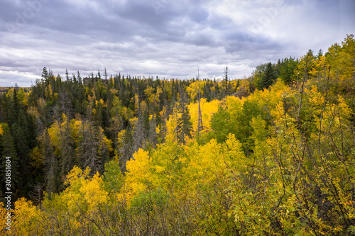 Wolf Willow Ravine forest in fall season