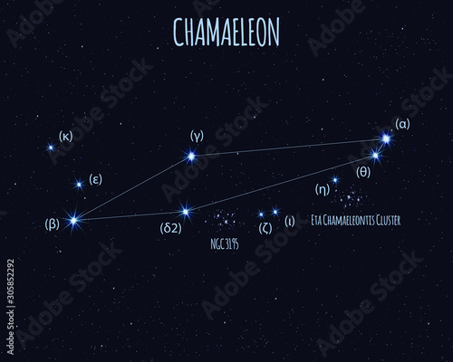 Chamaeleon (The Chameleon) constellation, vector illustration with basic stars against the starry sky 