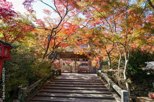 鍬山神社 / Kuwayama Temple