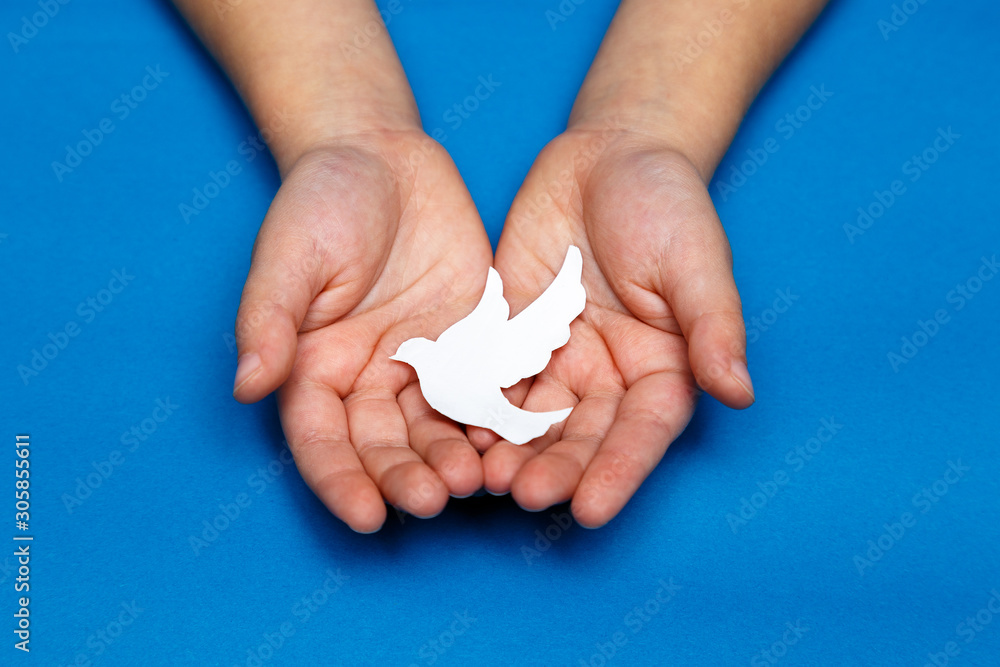 Children's hands holding white paper dove on blue background. I'm sorry, and you get peace. World Prayer Day for Peace. World Peace Day. Children's hands holding white paper dove on blue background. I'm sorry, and you get peace. World Prayer Day for Peace. World Peace Day.