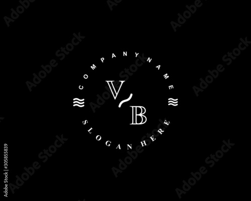 Initial VB vintage logo template