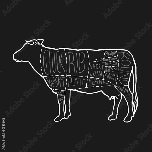 American Meat cuts diagram poster design. Beef scheme for butcher shop vector illustration. Cow animal silhouette vintage retro hand drawn style graphic.