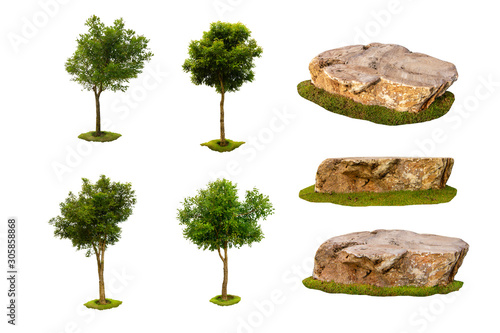 Collection of Isolated Trees and rocks on white background