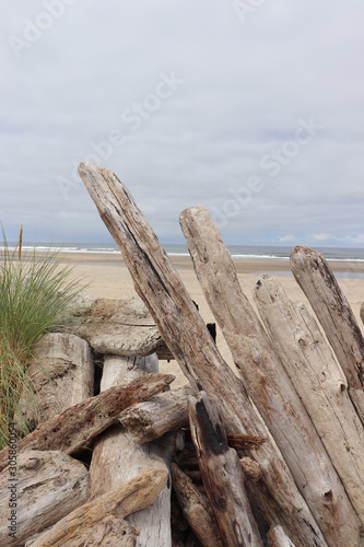 wooden fence on the beach © Ben Majer