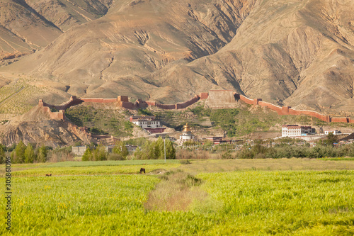 Panoramic view of Palcho monastery in Gyantse, Tibet photo