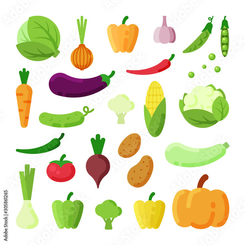Different vegetables color flat vector illustrations set