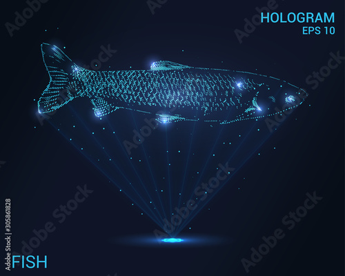 Hologram fish. A holographic projection of river fish. Flickering energy flux of particles. Scientific design animals.
