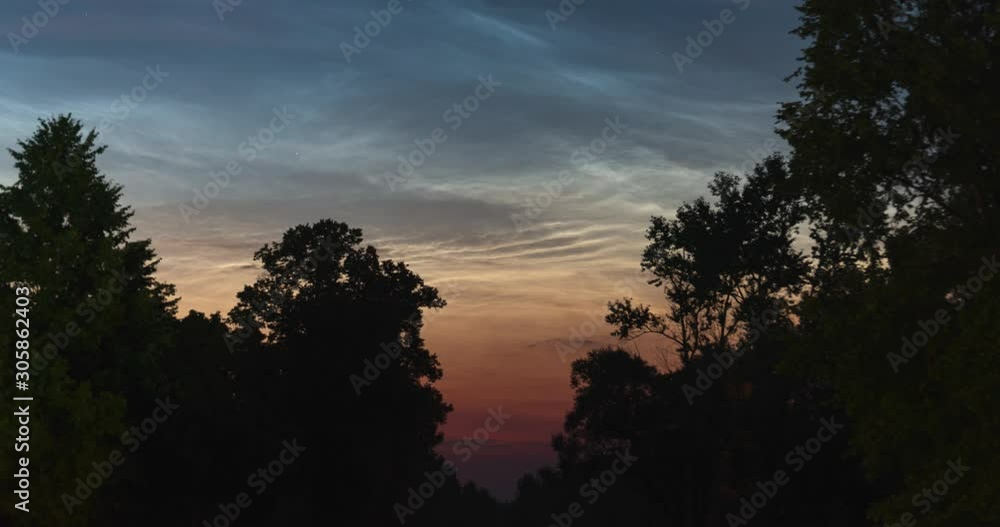 The timelapse of floating silvery clouds before dawn over the silhouettes of trees on a summer night
