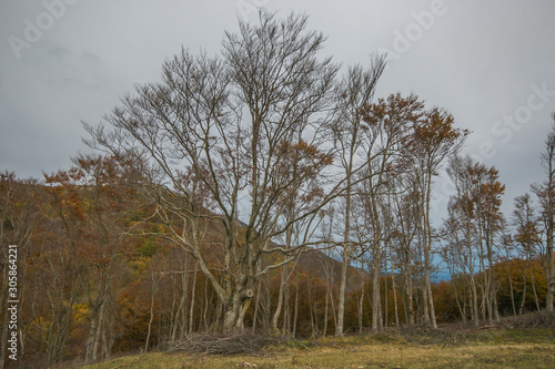 Fototapeta Naklejka Na Ścianę i Meble -  View of mount San Vicino in the autumn season, Marche