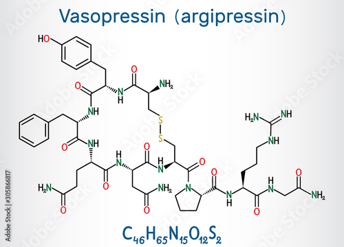 Vasopressin, arginine vasopressin AVP or argipressin molecule. It is antidiuretic hormone ADH synthesized as a peptide prohormone in neurons in the hypothalamus. Structural chemical formula