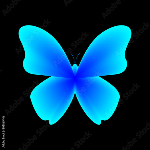 Blue luminous butterfly on a dark background. Vector