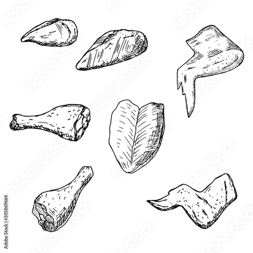 Hand-drawn isolated chicken meat. Vector cartoon illustrations. 