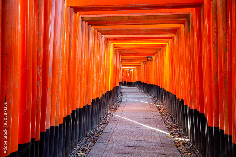 Fototapeta premium Red Torii gates in Fushimi Inari shrine in Kyoto, Japan 2019 Autumn colors