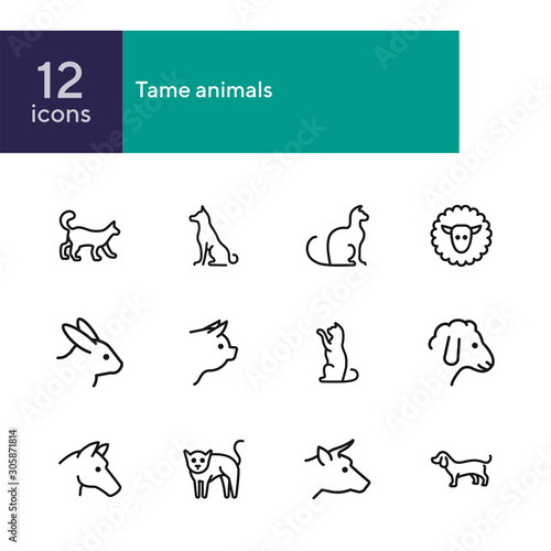 Tame animals line icon set. Set of line icons on white background. Beef, horse, cat. Household concept. Vector illustration can be used for topics like household, nature, farm