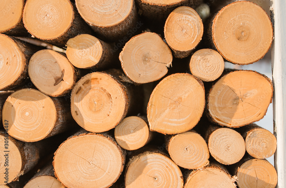 Fototapeta premium the texture of the trees. Chopped and folded pile of pine and birch wood. Textured background. Pile of chopped wood. Wood texture background. Splinters