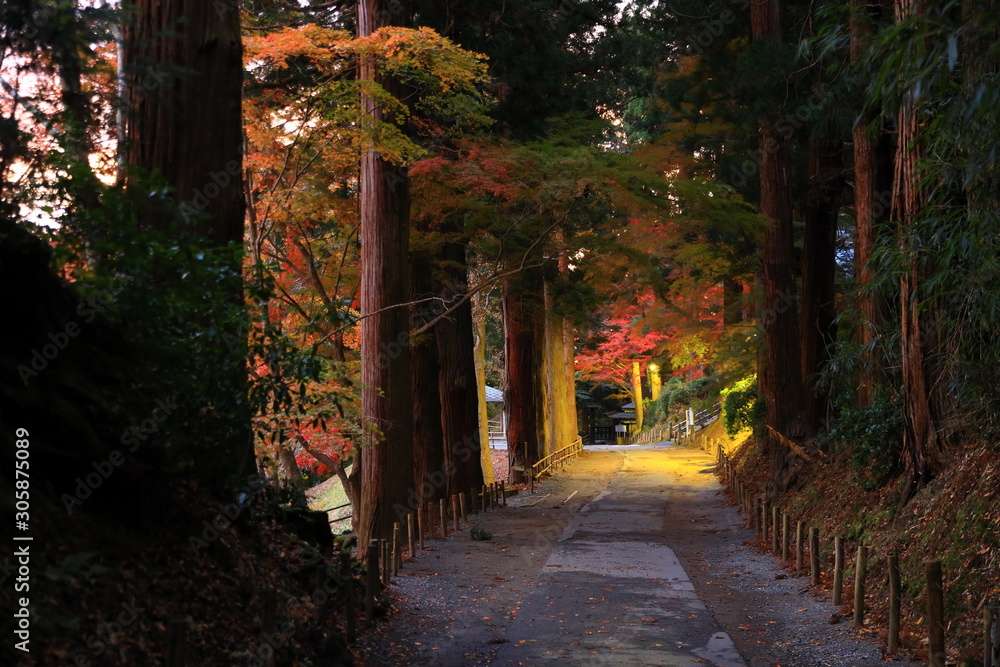 Fototapeta premium 世界遺産 紅葉の中尊寺
