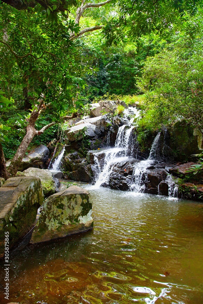 Nature Tropical Waterfall Lanscape with foliage and stones