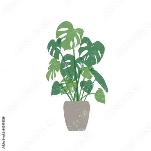 Monstera in ceramic pot flat vector illustration