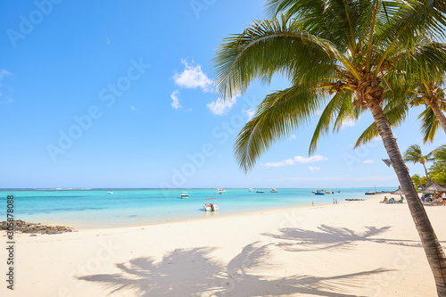 white sand and palm on the beach of Mauritius © photoniko