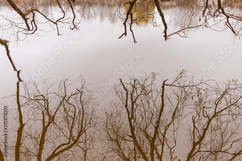 Reflections of bare branches of autumn trees in smooth surface of river water. Abstract natural video background. Horizontal color photography.
