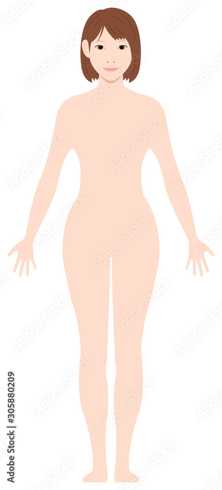 Fototapeta premium Standing woman's nude body silhouette / outline shape vector illustration