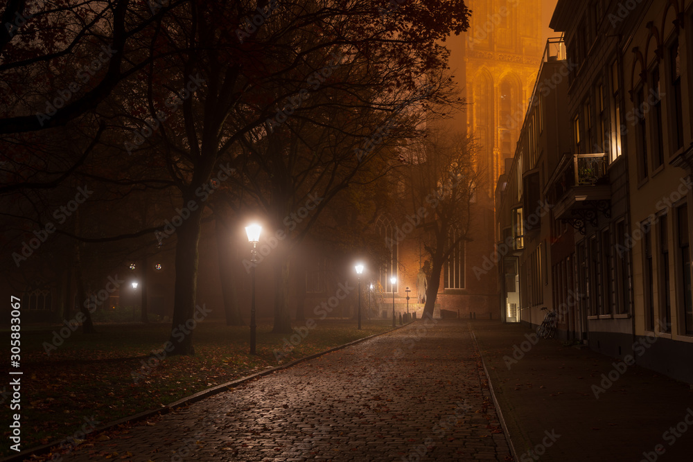 Streetlights in a park on a foggy night in autumn.
