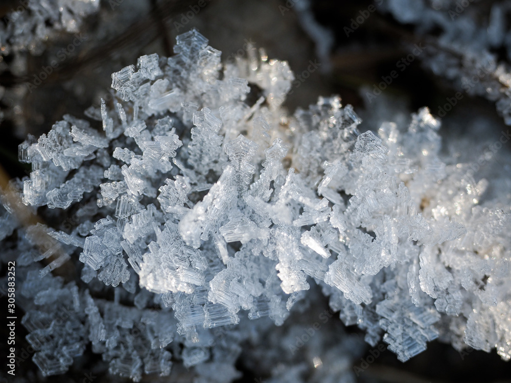 Frost, icing on branches and grass. Change of weather, cold snap, consequences of icy rain Frost, icing on branches and grass. Change of weather, cold snap, consequences of icy rain