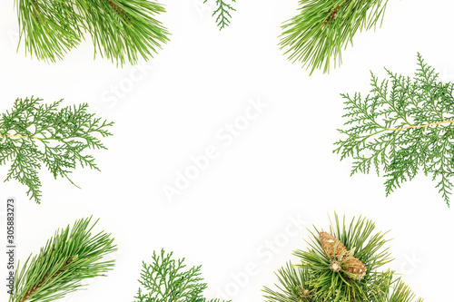 Christmas frame of tree branches on white background. New Year background. Flat lay
