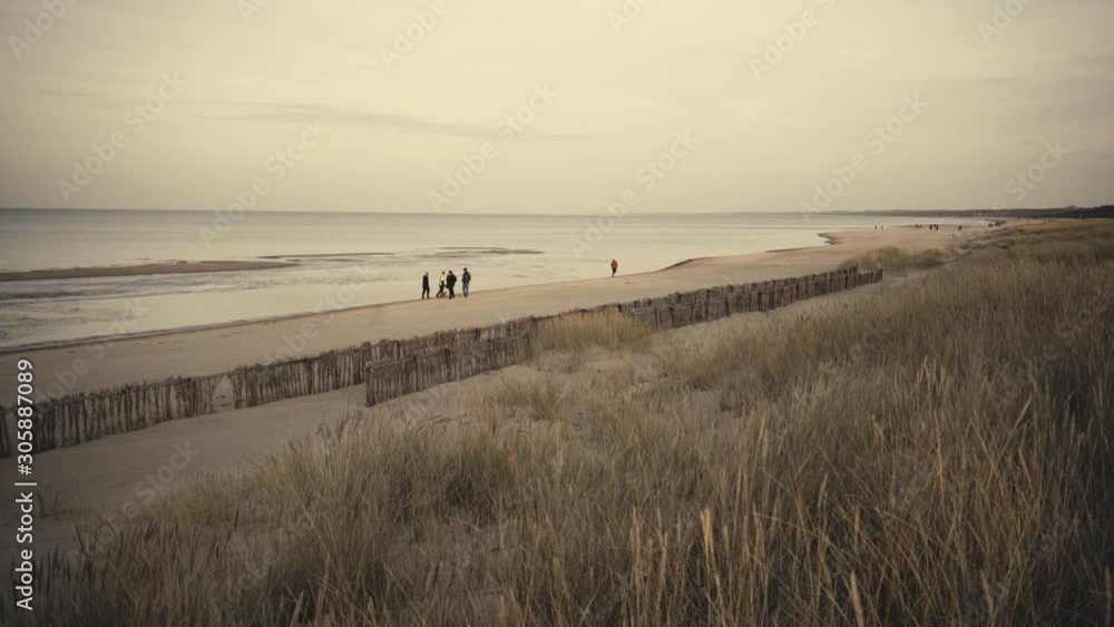 People with a dog walk in the evening on a sandy Baltic beach in the fall on a background of a fence made of tree branches. The fence holds the sand dunes. Gulf of Riga. Latvia People with a dog walk in the evening on a sandy Baltic beach in the fall on a background of a fence made of tree branches. The fence holds the sand dunes. Gulf of Riga. Latvia