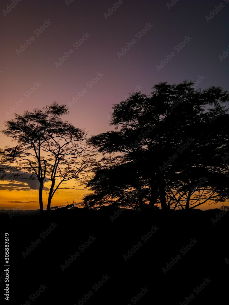Silhouette trees on forest at sunset. Landscape nature twilight sky. Beautiful colorful background. Warm colors. Amazing evening scene