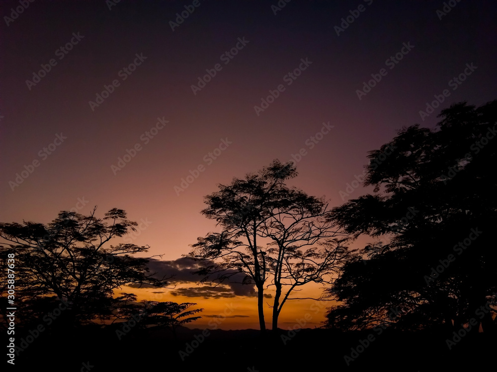 Silhouette trees on forest at sunset. Landscape nature twilight sky. Beautiful colorful background. Warm colors. Amazing evening scene Silhouette trees on forest at sunset. Landscape nature twilight sky. Beautiful colorful background. Warm colors. Amazing evening scene