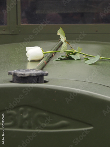 Memory of the second world war. A white rose lies on the hood of an old army truck, a sign of respect and gratitude to the soldiers, the inscription on the hood 