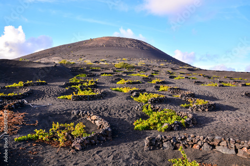 Obraz na plátně Landscape in Tropical Volcanic Canary Islands Spain